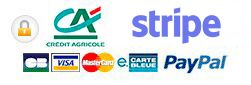Carte bancaire, Stripe et PayPal